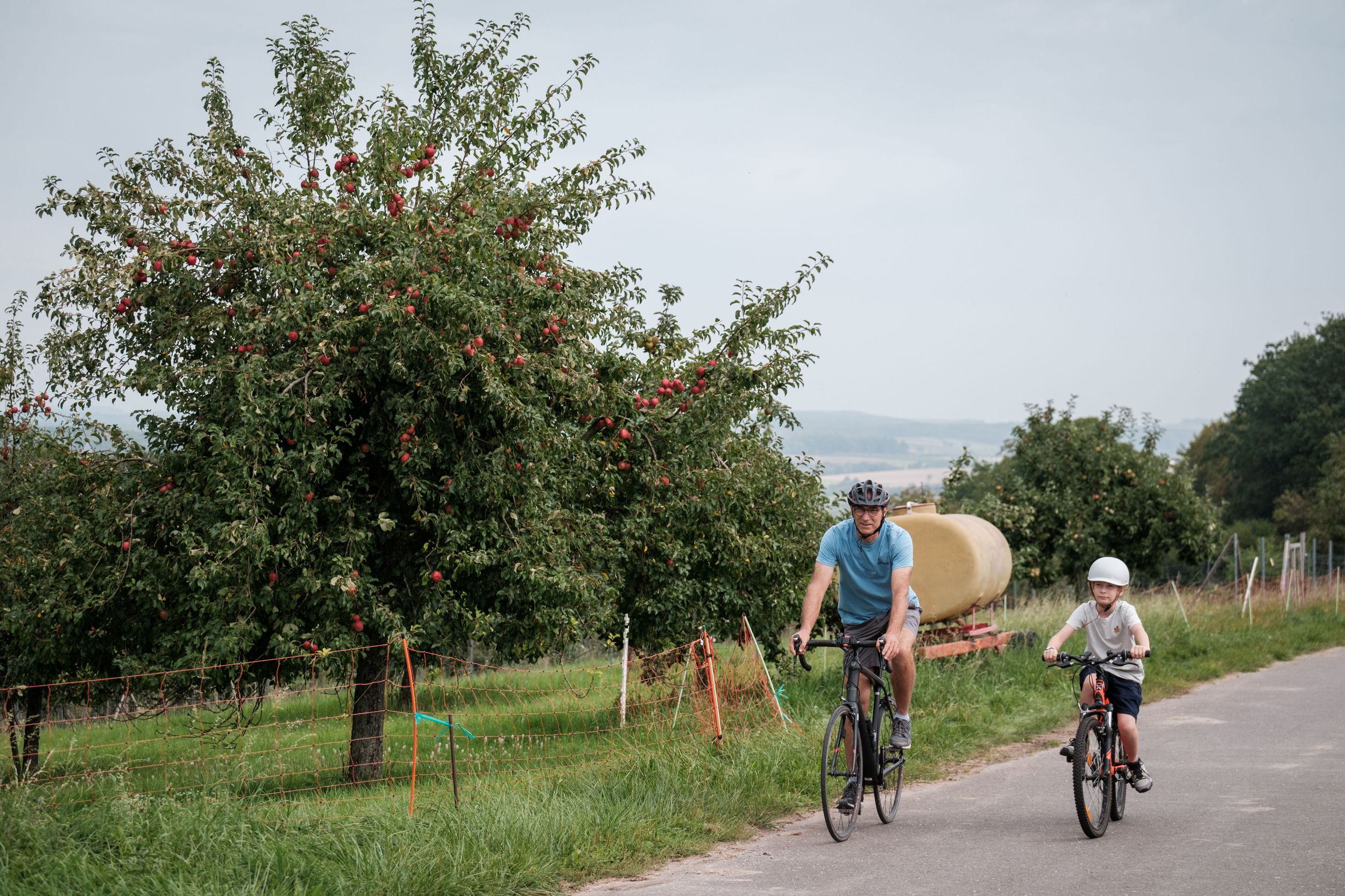 Velo Pomarium